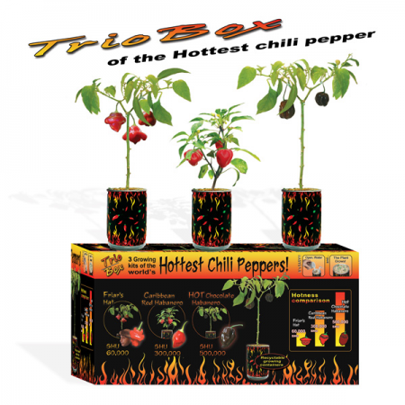 Chili Pepper growing kit