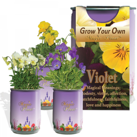 Violet (Viola) Growing Kit