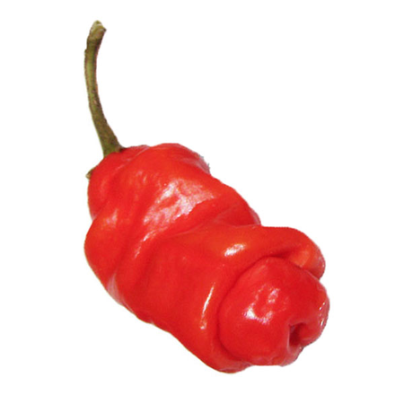 Willy Pepper