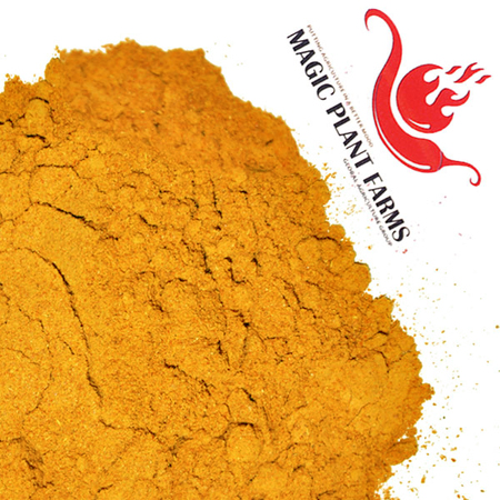 Yellow Habanero Powder Yellow Habanero Powder