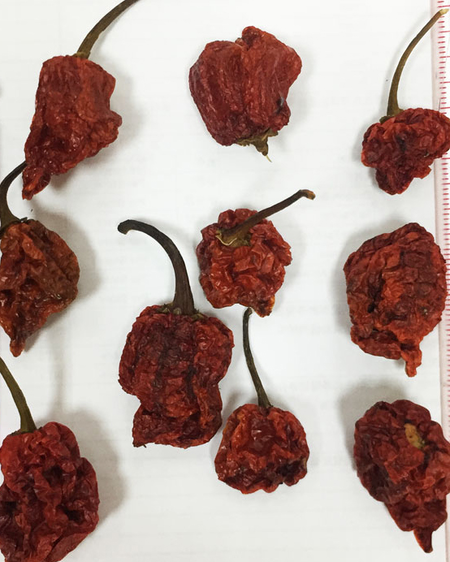 Carolina Reaper Whole Dried Pods