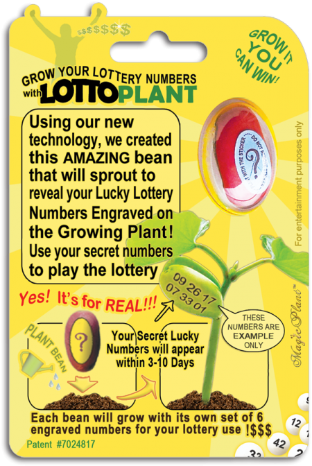 Lotto Plant