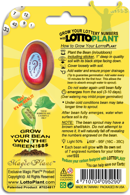 Lotto Plant back