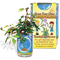 Mimosa Tree Growing Kit
