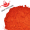 Carolina Reaper