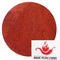 Magic Plant Paprika