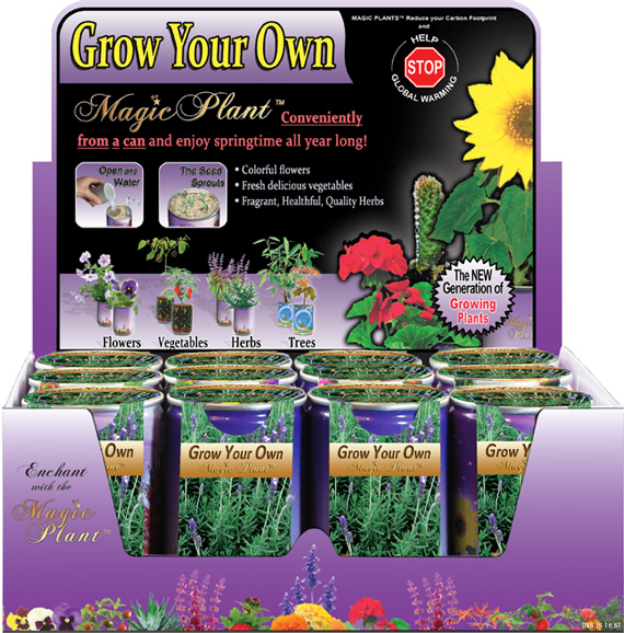 Lavender Growing kit