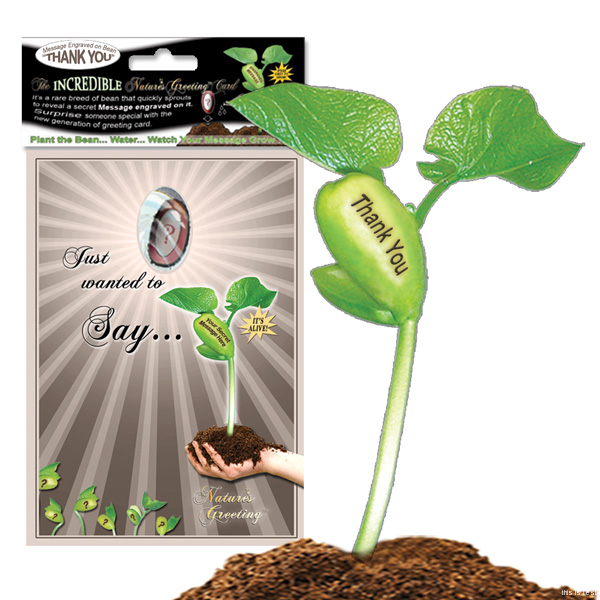 Nature's Greeting Card Thank You