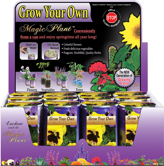 Sunflower Growing Kit